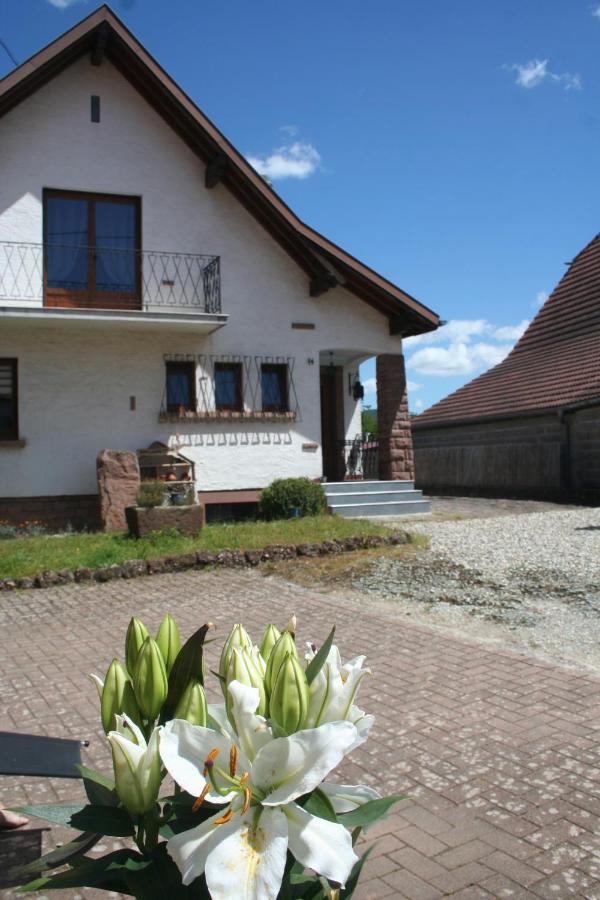 La Maison De Tania Neuve-Eglise Екстериор снимка